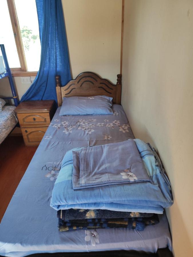 Alma Patagona Hostel Puerto Tranquilo Exterior photo